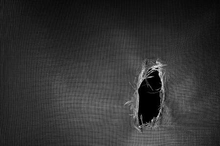 Screen Enclosure Repair – DIY or Hire a Professional