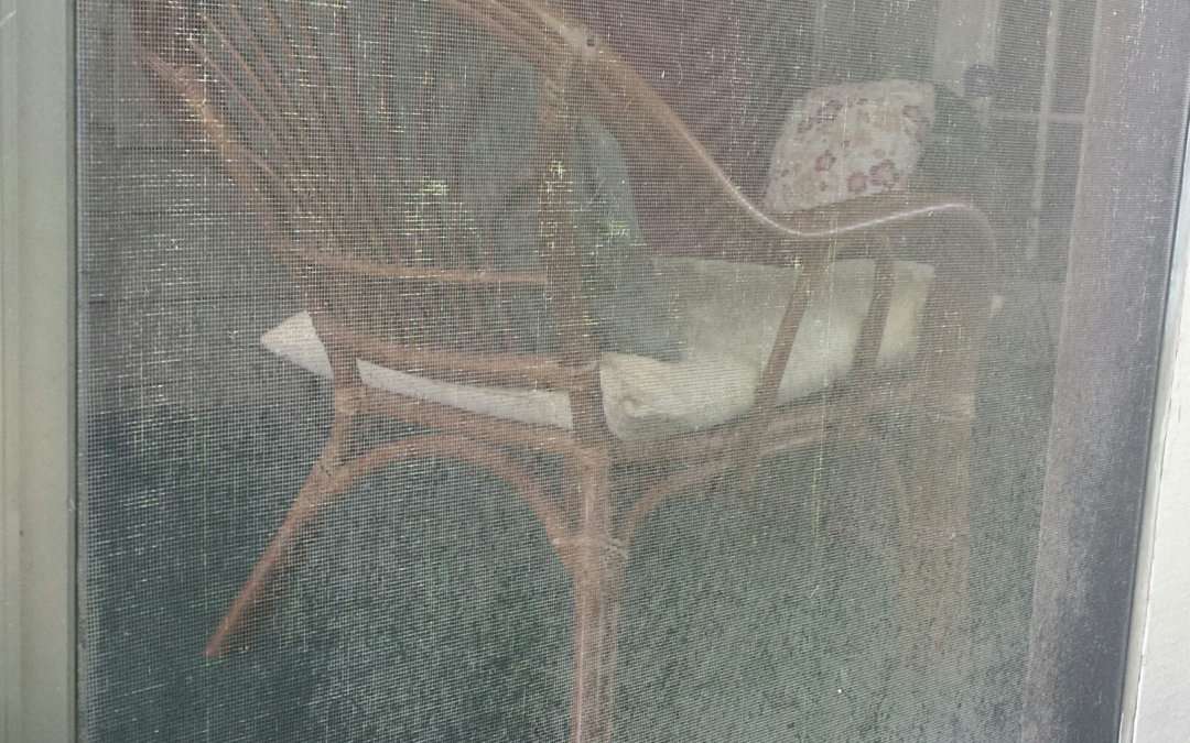 Tips for Cleaning Your Patio Screen Enclosure