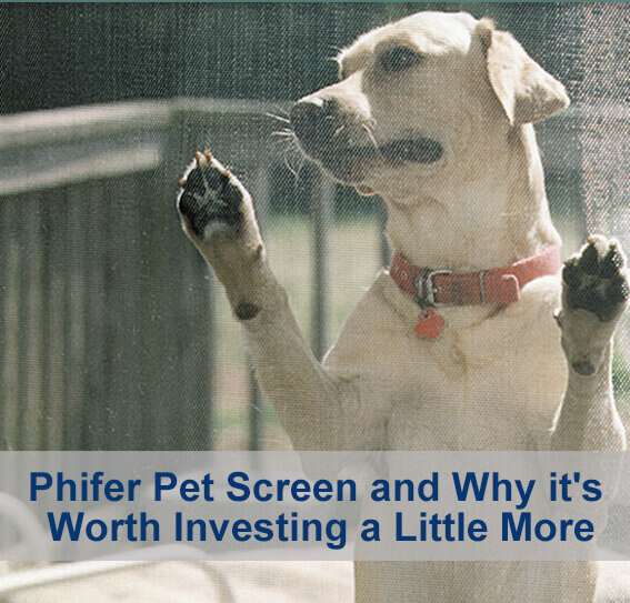 Pet Screen and Why it’s Worth Investing a Little More
