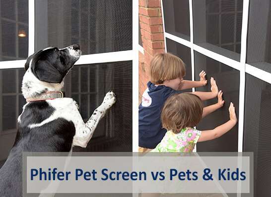 How Pet Screen is Necessary for a Screen Enclosure if You Have Pets or Kids