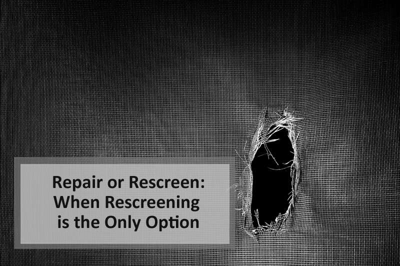 When Pool Enclosure Rescreening is the Only Option Instead of Repairing