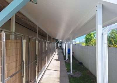 Pet Alliance's concrete work and canopy install over the kennels.